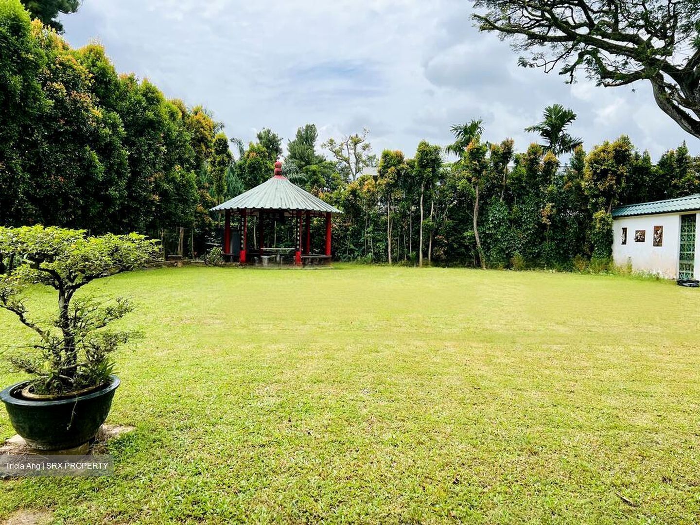 Bin Tong Park (D10), Detached #460160481